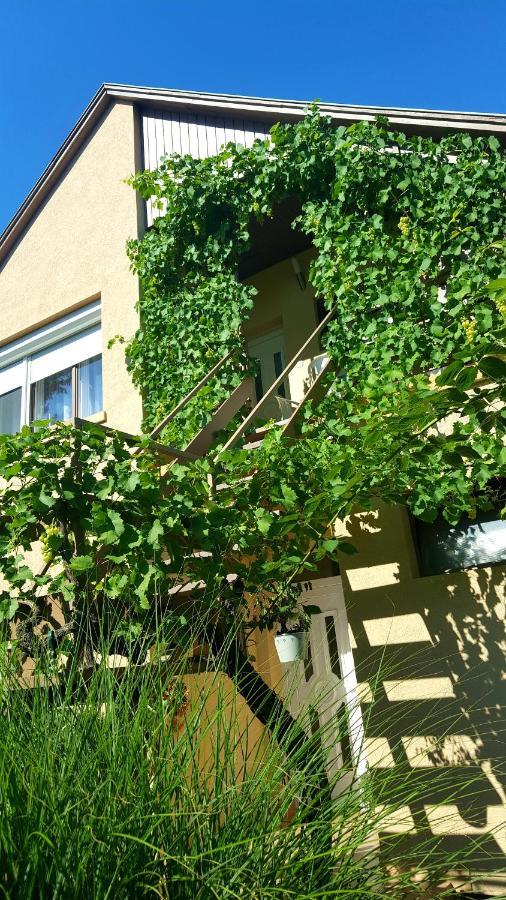 Borostyán Apartmann Balatonföldvár Exterior foto