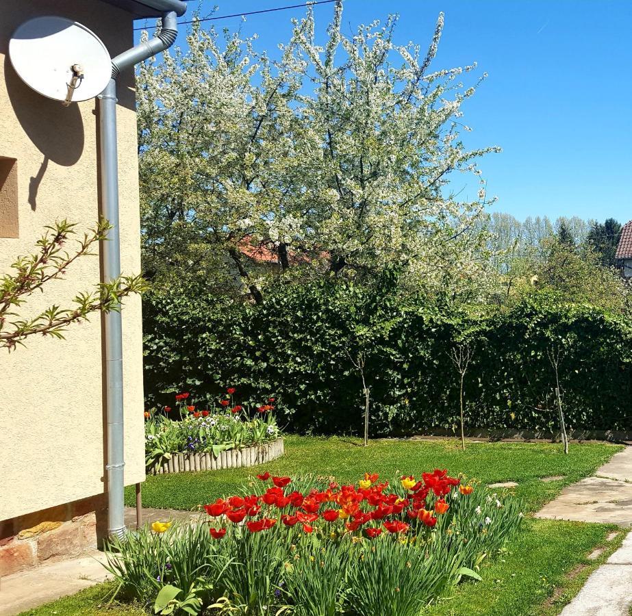 Borostyán Apartmann Balatonföldvár Exterior foto