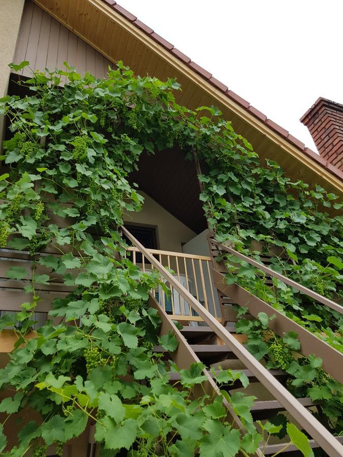 Borostyán Apartmann Balatonföldvár Exterior foto